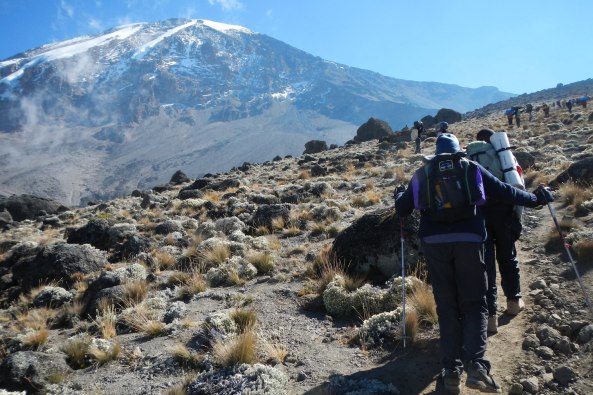 Mt Kilimanjaro hiking